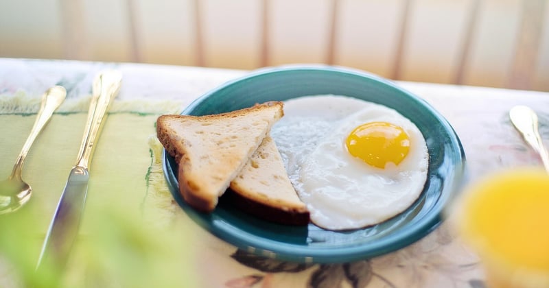 20 idees de repas vegetariens riches en proteines qui rassasient vraiment